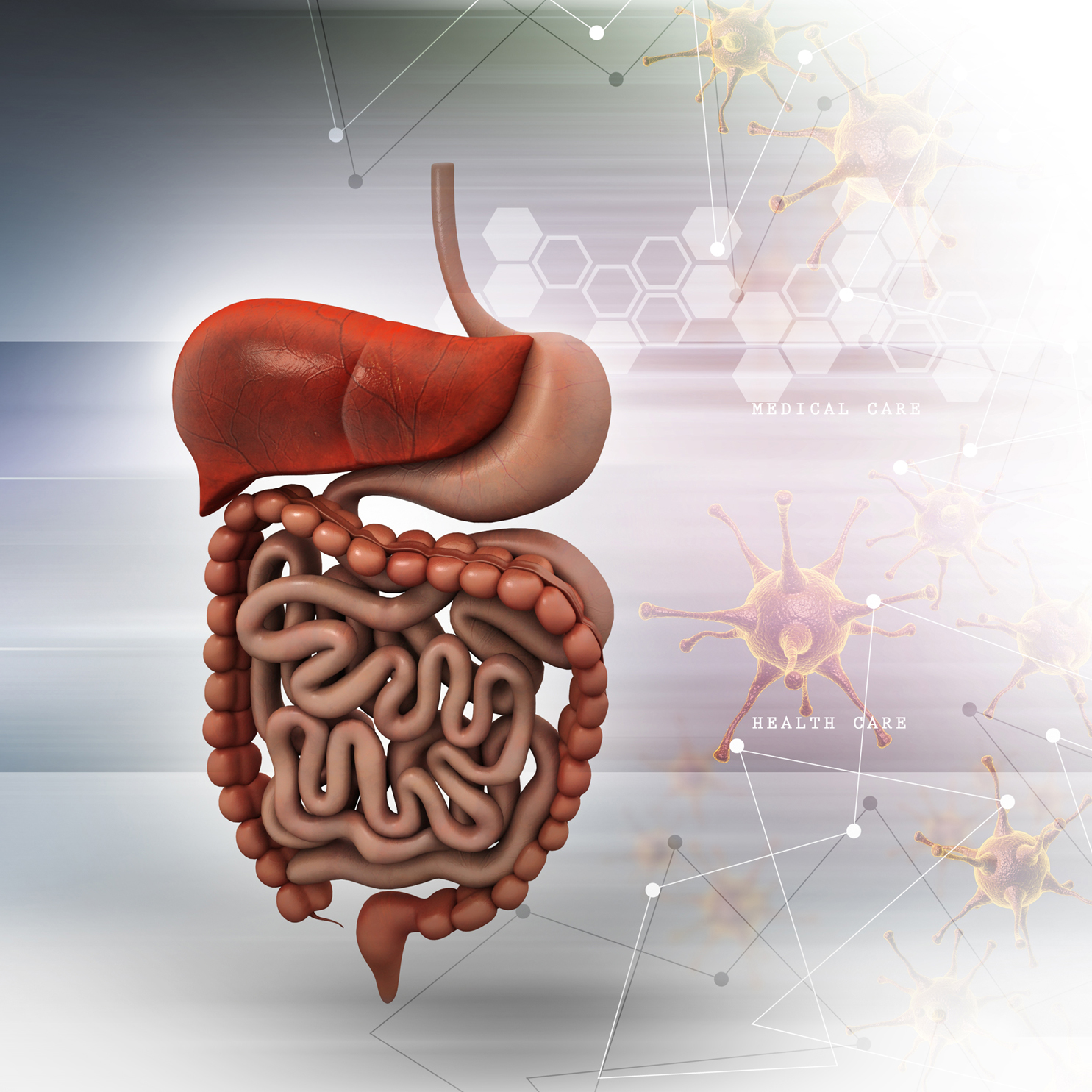 Gastroenterology And Hepatology